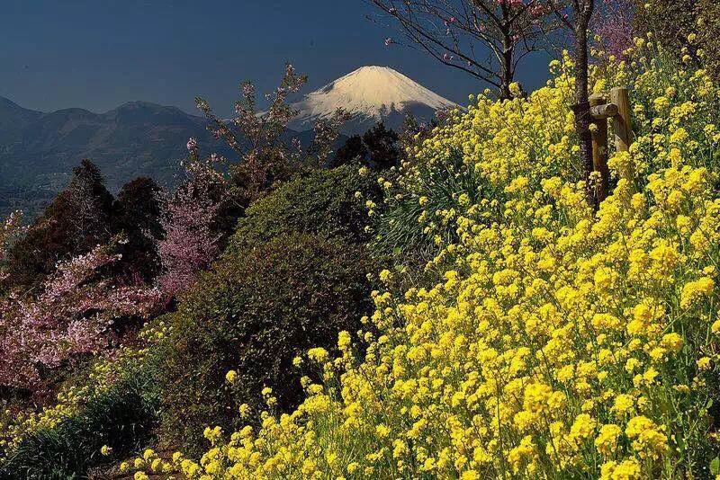Hakone Pacific Exterior photo