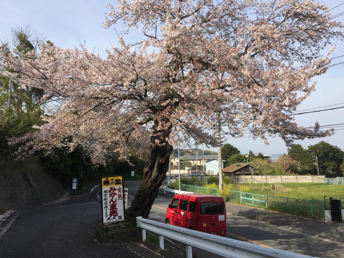 Hakone Pacific Exterior photo